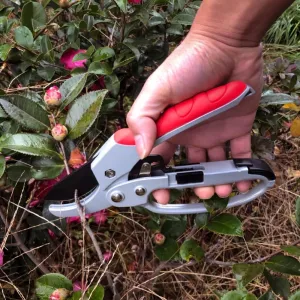 Bonsai Branch Pruner