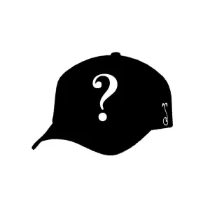 Dad Hat Grab Bag x1