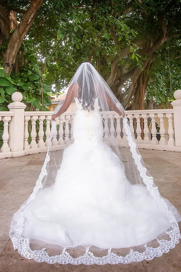 Elegant Lace Appliques Long Chapel Veils Floor Length Wedding Veils