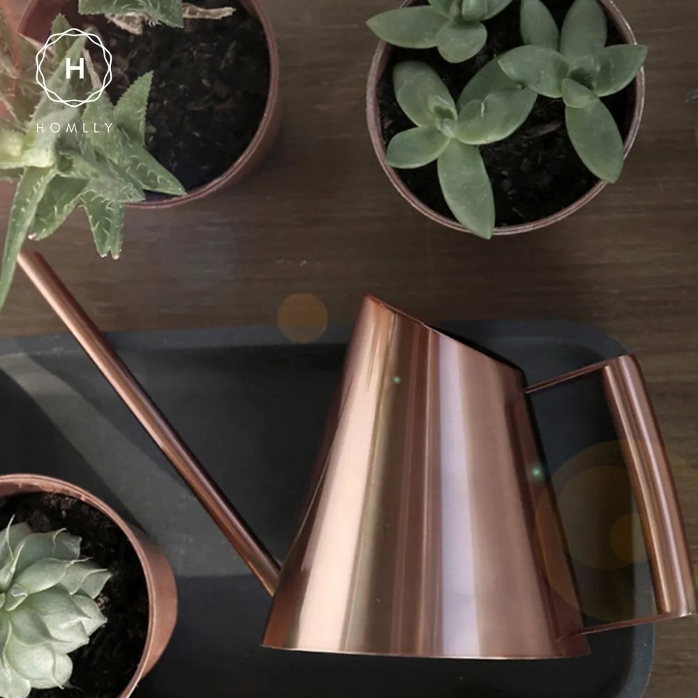 Homlly Keii Gold Long Spout Stainless Steel Gardening Watering Can Kettle Pot for Indoor Plants and Garden