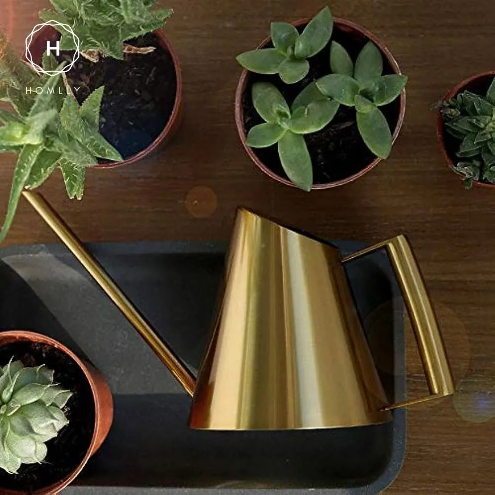 Homlly Keii Gold Long Spout Stainless Steel Gardening Watering Can Kettle Pot for Indoor Plants and Garden