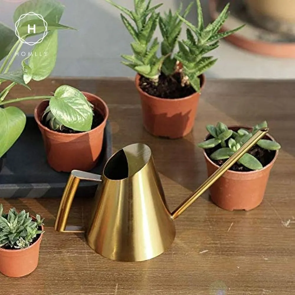Homlly Keii Gold Long Spout Stainless Steel Gardening Watering Can Kettle Pot for Indoor Plants and Garden
