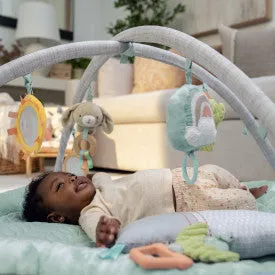 Ingenuity Calm Springs Plush Activity Gym