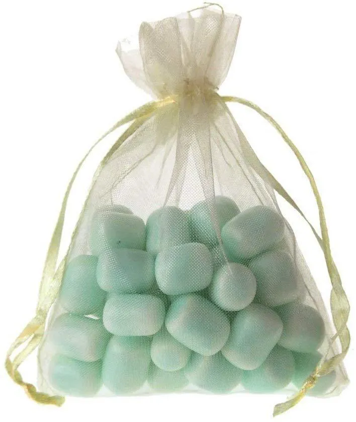 Organza Favor Pouch Bag, 6-Inch x 9-Inch, 6-Count