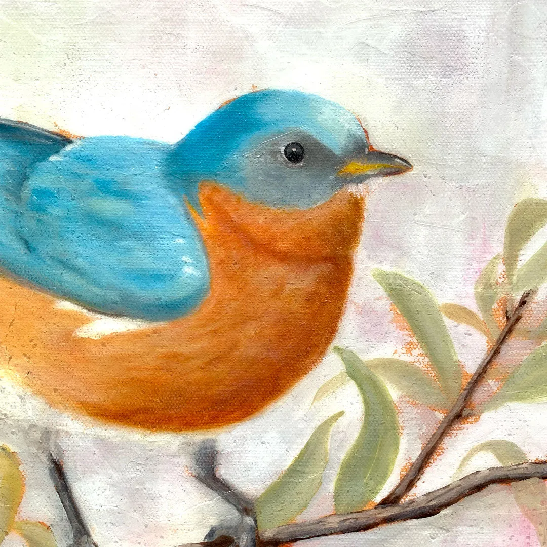 "Messenger" Bluebird Painting 16x20