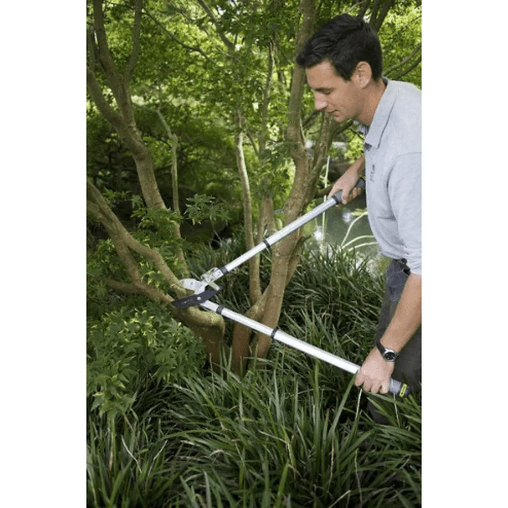 RHS Telescopic Ratchet Lopper