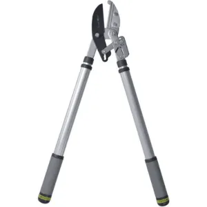 RHS Telescopic Ratchet Lopper