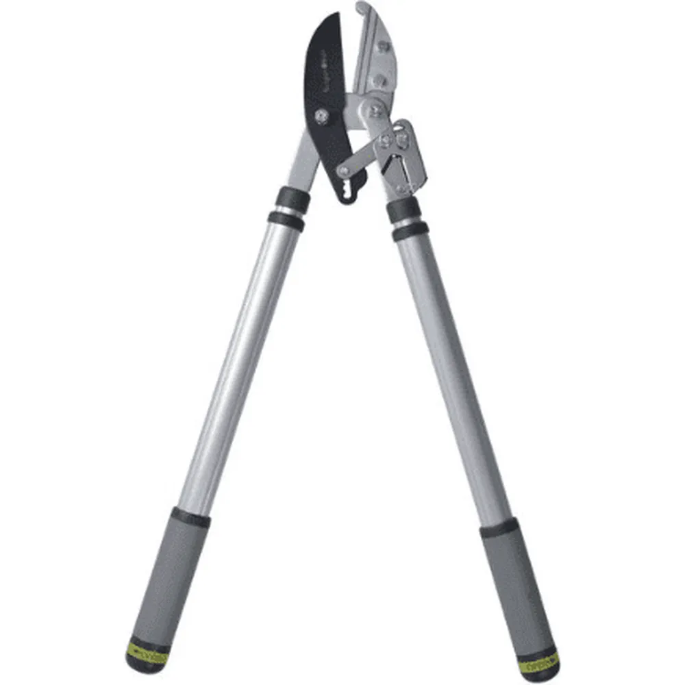 RHS Telescopic Ratchet Lopper