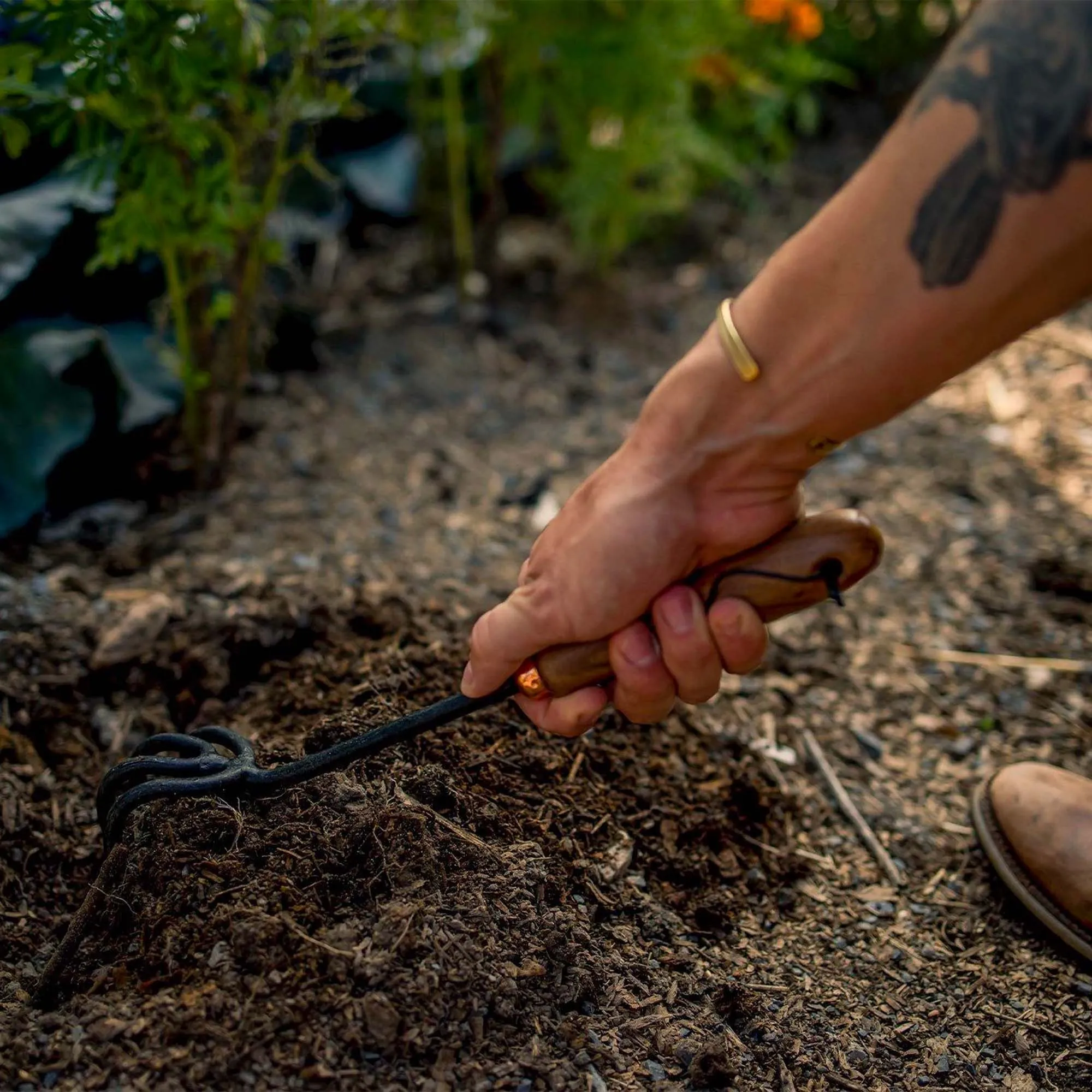 Steel Cultivator with Walnut Handle