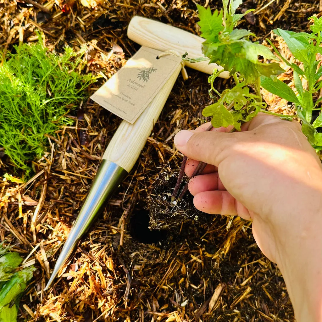 Traditional Ashwood Timber Handle Dibber
