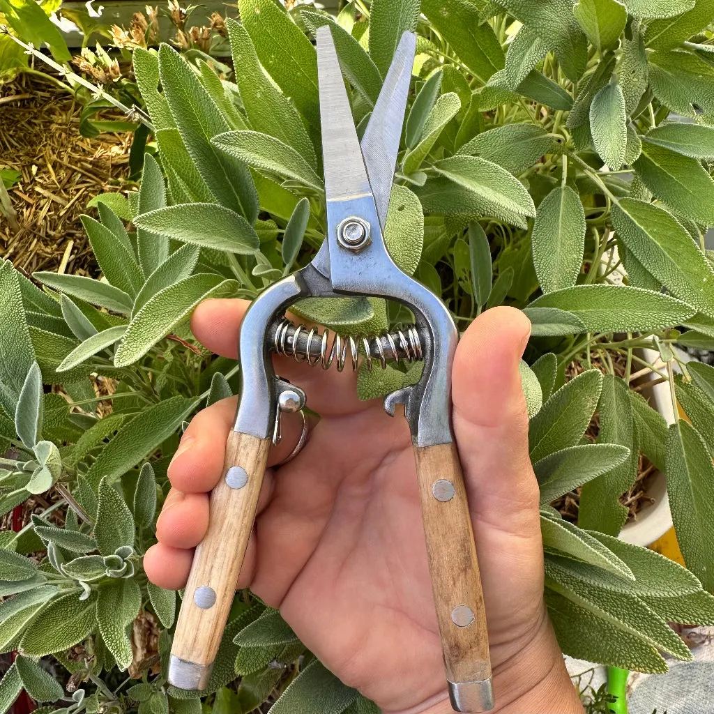 Traditional Garden Snips with Stainless Steel Blades and Wood Handles