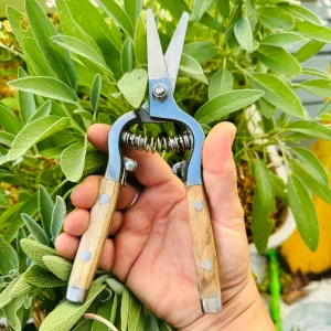 Traditional Garden Snips with Stainless Steel Blades and Wood Handles